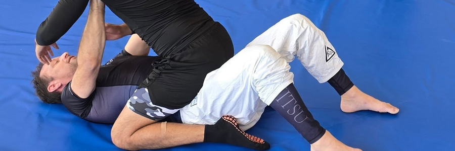 Gracie Fight Sim