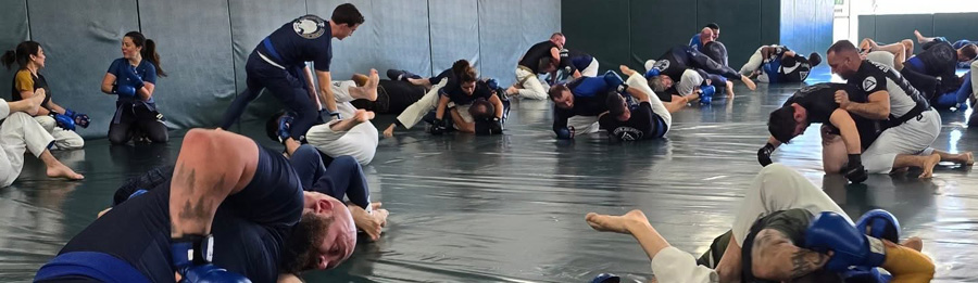 Gracie Fight Sim