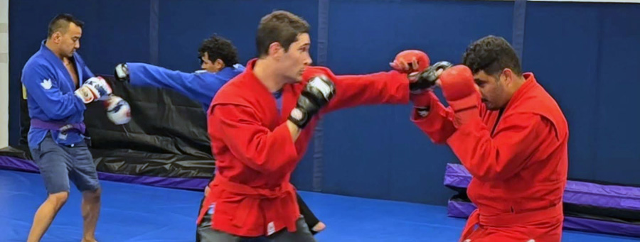 Combat Sambo in Action