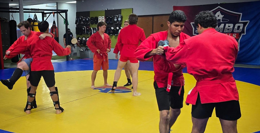 Sport Sambo in Action