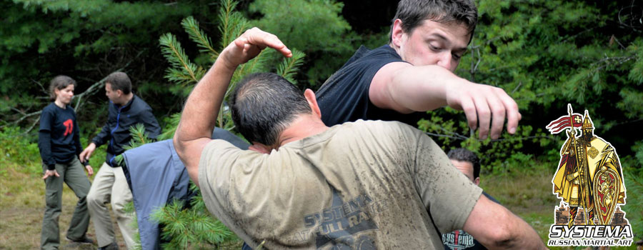 Systema Camp