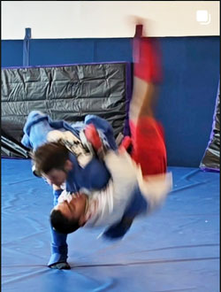 Combat Sambo